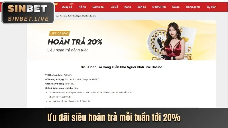 Hoàn Trả Hàng Ngày 888new26